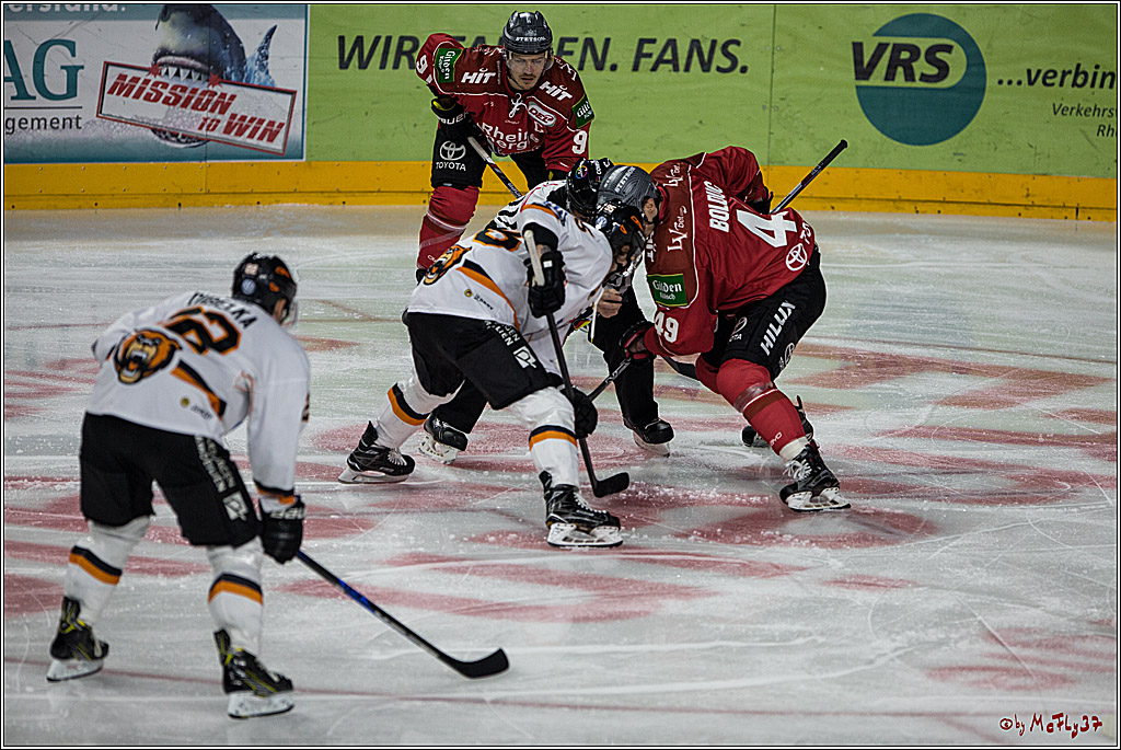 DEL, Koelner Haie - Grizzlys Wolfsburg, 07.03.2017